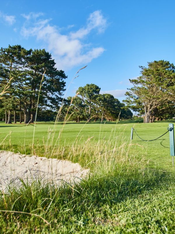 Chèques cadeaux golf - Cadeau idéal pour un golfeur