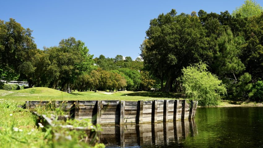 Innovation et Adaptation : Le Club travaille sur l’Aération des Terrains pour une Expérience de Jeu Optimale - Open Golf Club